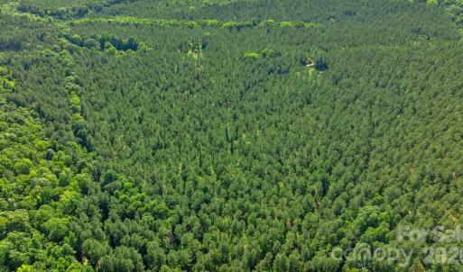 Photo #25 of Peacehaven, McConnells, SC