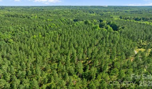 Photo #17 of Peacehaven, McConnells, SC