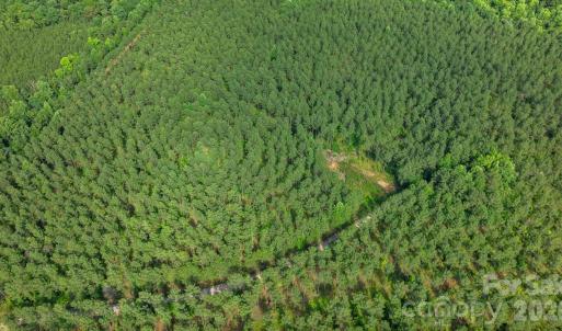 Photo #32 of Peacehaven, McConnells, SC