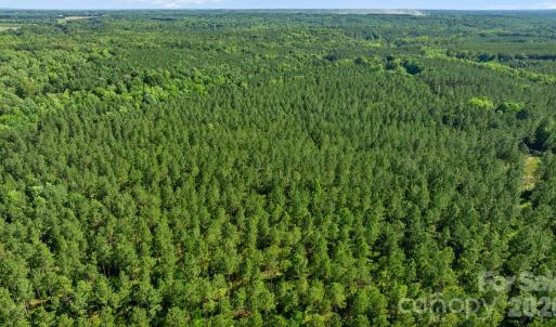 Photo #22 of Peacehaven, McConnells, SC