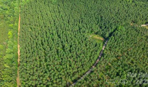 Photo #33 of Peacehaven, McConnells, SC