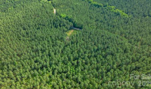 Photo #36 of Peacehaven, McConnells, SC