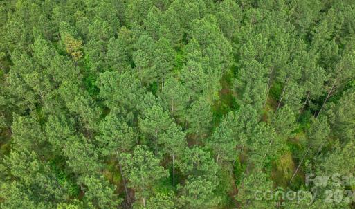 Photo #43 of Peacehaven, McConnells, SC