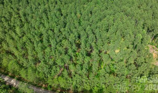 Photo #42 of Peacehaven, McConnells, SC