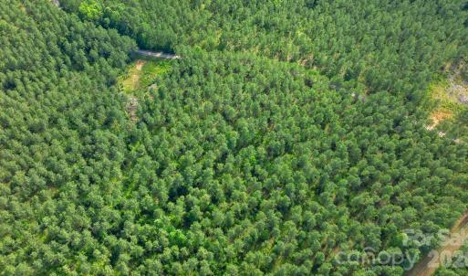 Photo #35 of Peacehaven, McConnells, SC