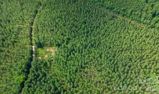 Photo #4 of Peacehaven, McConnells, SC