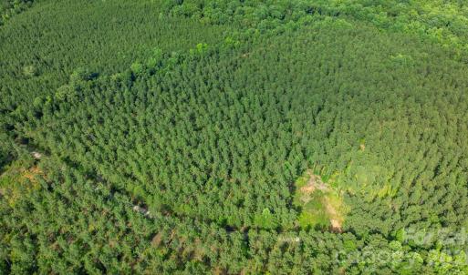 Photo #31 of Peacehaven, McConnells, SC