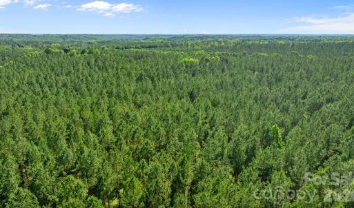 Photo #5 of Peacehaven, McConnells, SC