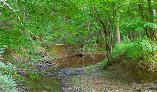 Photo #19 of Lucy Short Cut, Marshville, NC