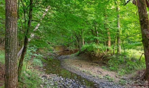 Photo #3 of Lucy Short Cut, Marshville, NC