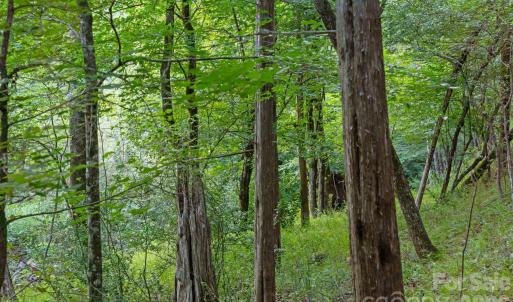 Photo #6 of Lucy Short Cut, Marshville, NC