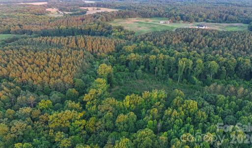 Photo #26 of Lucy Short Cut, Marshville, NC