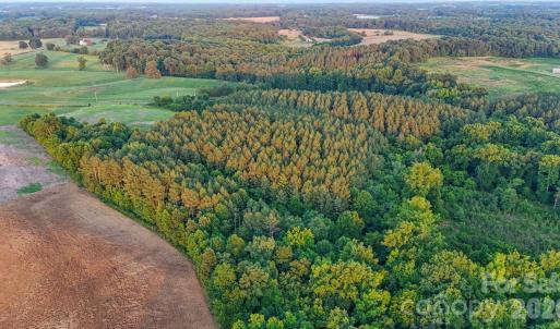 Photo #25 of Lucy Short Cut, Marshville, NC