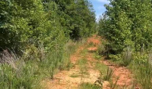 Photo #3 of Promise Pride, Edgemoor, SC