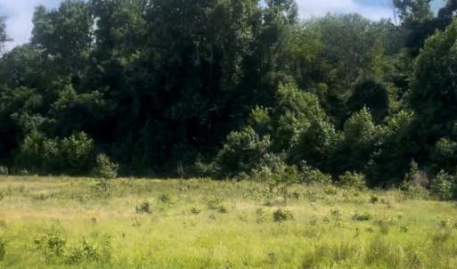 Photo #6 of Promise Pride, Edgemoor, SC