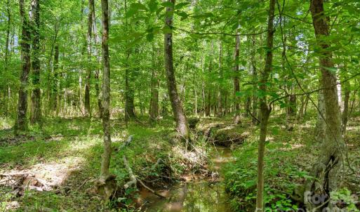 Photo #9 of Cool Branch, Carlisle, SC