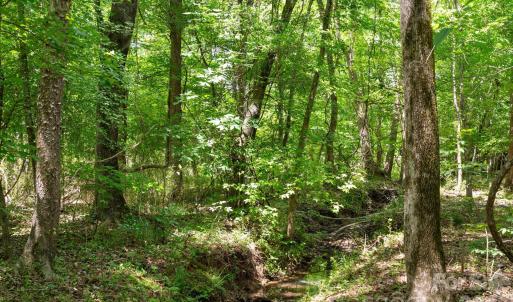 Photo #42 of Cool Branch, Carlisle, SC