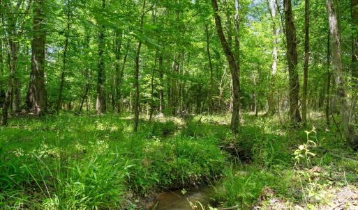 Photo #25 of Cool Branch, Carlisle, SC