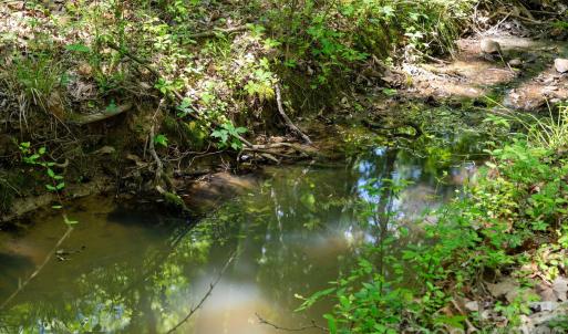 Photo #18 of Cool Branch, Carlisle, SC
