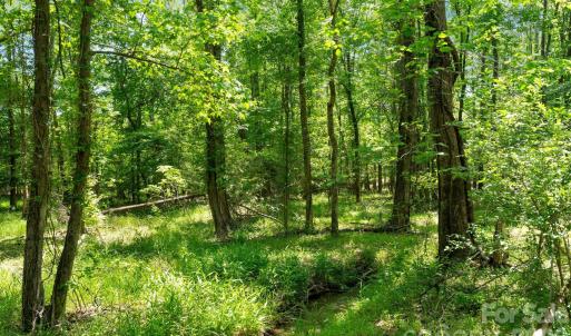 Photo #37 of Cool Branch, Carlisle, SC