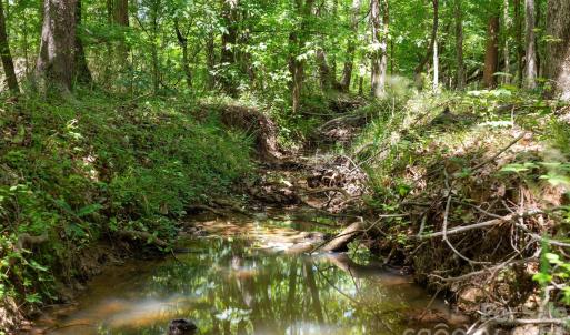 Photo #17 of Cool Branch, Carlisle, SC