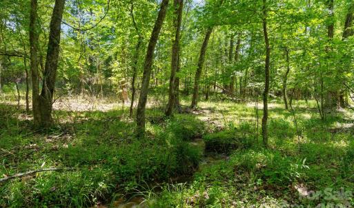 Photo #7 of Cool Branch, Carlisle, SC