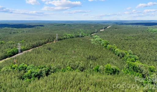 Photo #21 of Cool Branch, Carlisle, SC