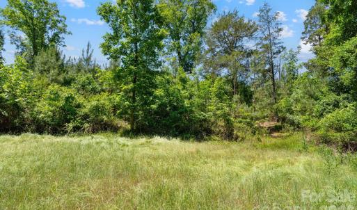 Photo #32 of Cool Branch, Carlisle, SC
