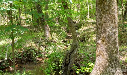 Photo #35 of Cool Branch, Carlisle, SC