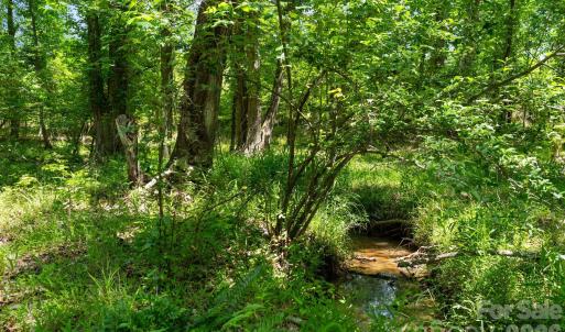 Photo #24 of Cool Branch, Carlisle, SC