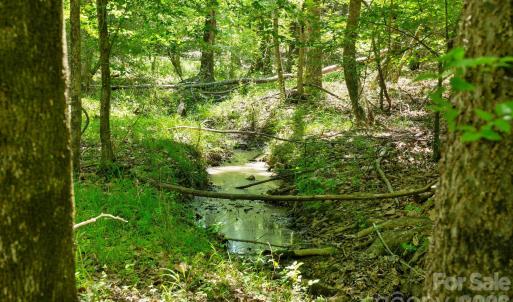Photo #2 of Cool Branch, Carlisle, SC