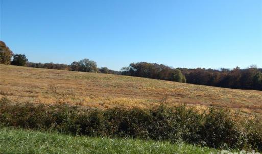 Photo #7 of Carriker, Albemarle, NC