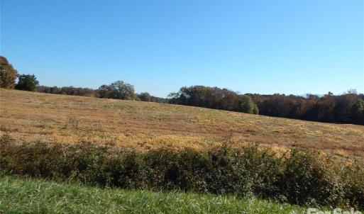 Photo #6 of Carriker, Albemarle, NC