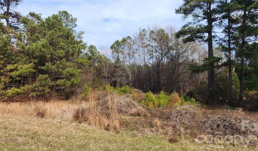 Photo #12 of 1413 Old Columbia, Chester, SC
