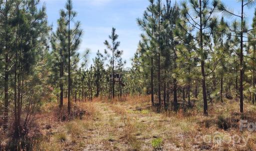 Photo #15 of 1045 Mcqueen, Patrick, SC