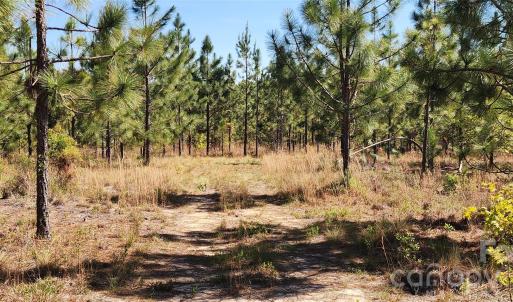 Photo #11 of 1045 Mcqueen, Patrick, SC