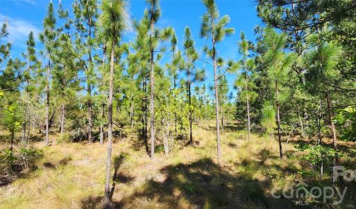 Photo #19 of 1045 Mcqueen, Patrick, SC