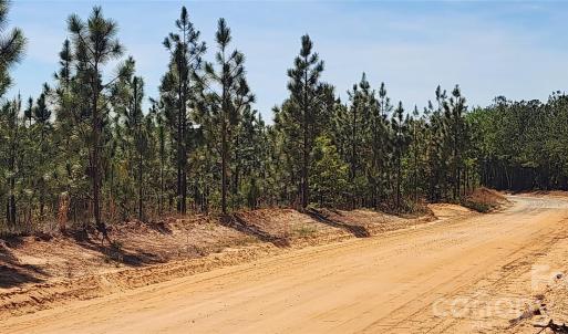 Photo #3 of 1045 Mcqueen, Patrick, SC