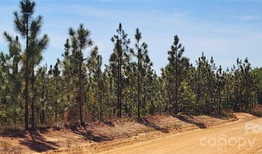 Photo #10 of 1045 Mcqueen, Patrick, SC