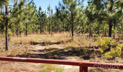 Photo #13 of 1045 Mcqueen, Patrick, SC
