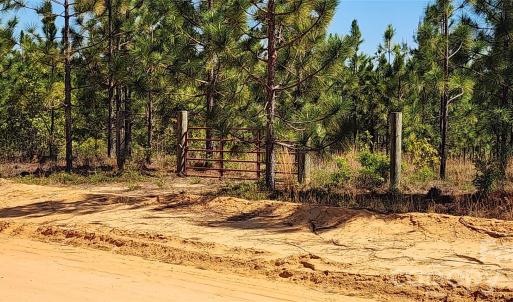 Photo #12 of 1045 Mcqueen, Patrick, SC