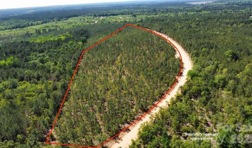 Photo #1 of 1045 Mcqueen, Patrick, SC