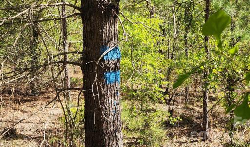 Photo #17 of 1045 Mcqueen, Patrick, SC