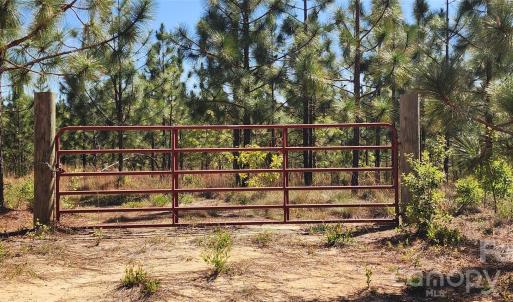 Photo #2 of 1045 Mcqueen, Patrick, SC