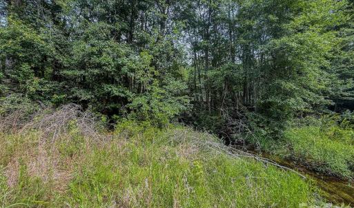 Photo #20 of Hwy 1, Patrick, SC