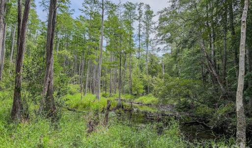 Photo #21 of Hwy 1, Patrick, SC