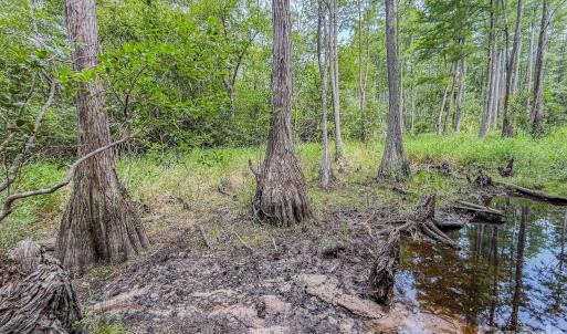 Photo #24 of Hwy 1, Patrick, SC