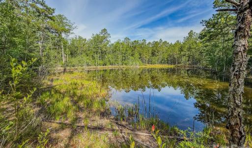 Photo #1 of Hwy 1, Patrick, SC