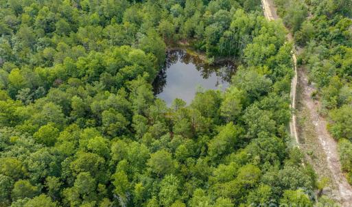 Photo #9 of Hwy 1, Patrick, SC