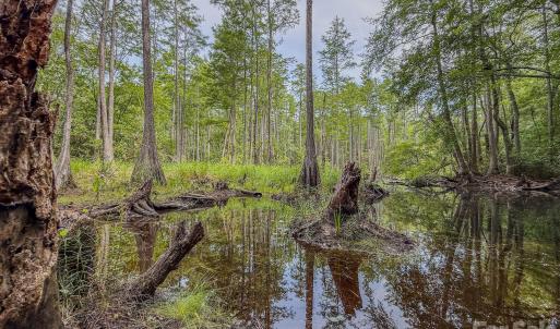 Photo #22 of Hwy 1, Patrick, SC
